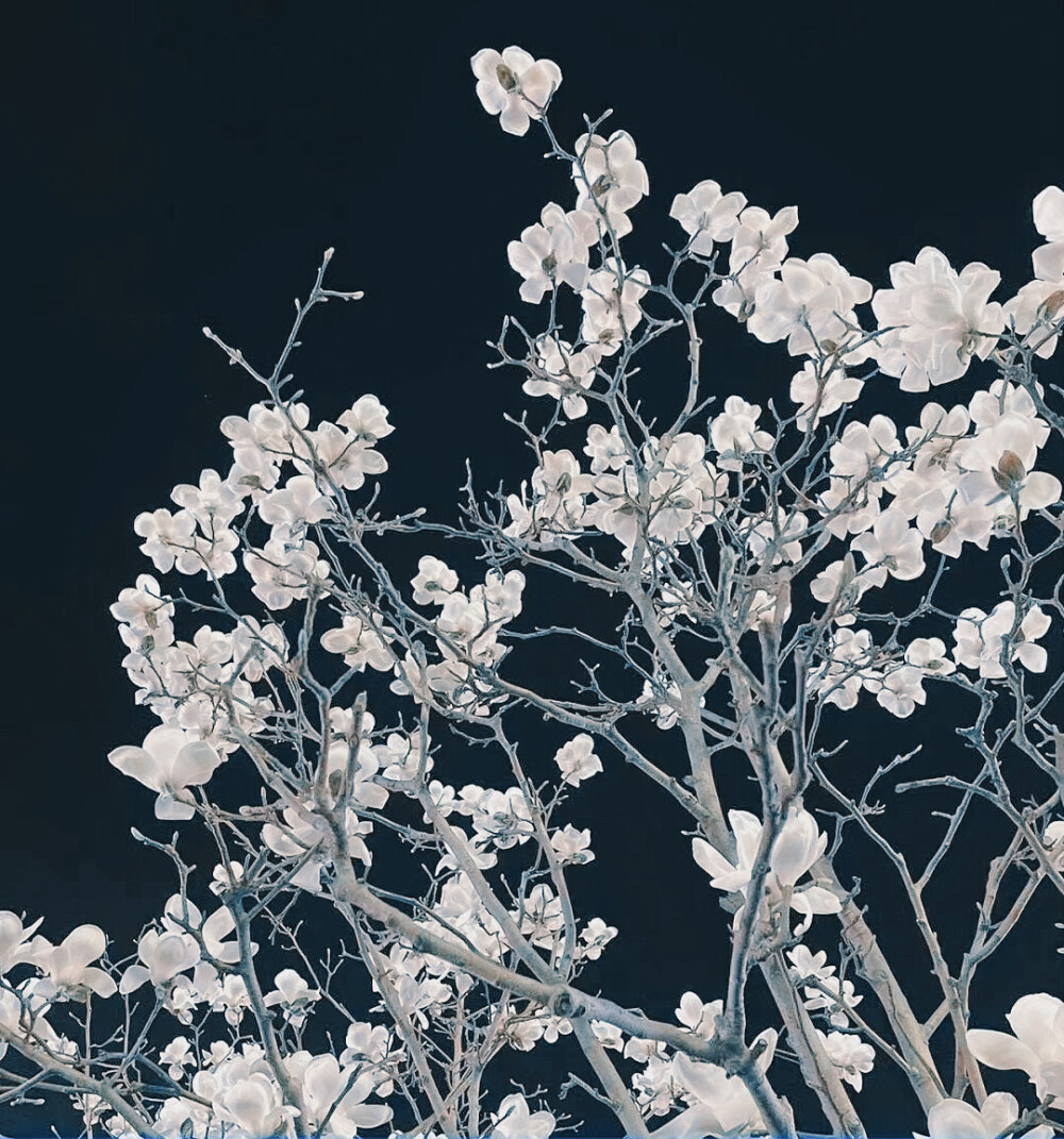 你全力以赴做到最好，可能还不如别人随便搞搞^
姜涩琪^
图源斯莱特林不知名巫师