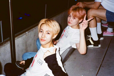 nct dream