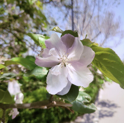 花花世界