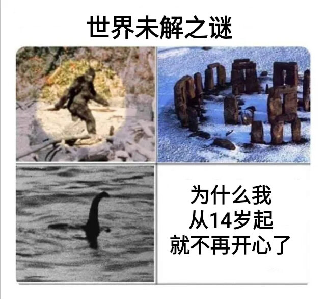 meme
