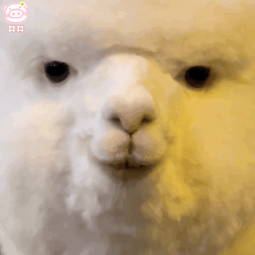 羊驼表情包
可爱的表情包