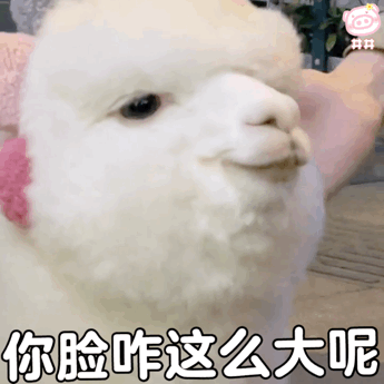 羊驼表情包
可爱的表情包