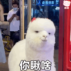 羊驼表情包
可爱的表情包