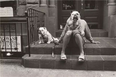 在摄影大师中的名录中，艾略特·厄威特（ Elliot Erwitt ）的名字似乎不如布列松、卡帕、斯泰肯以及罗伯特·弗兰克那么响亮，他既没有提出像“决定性瞬间”那样的经典概念，也没有因其独创的风格而改变摄影潮流的走向…