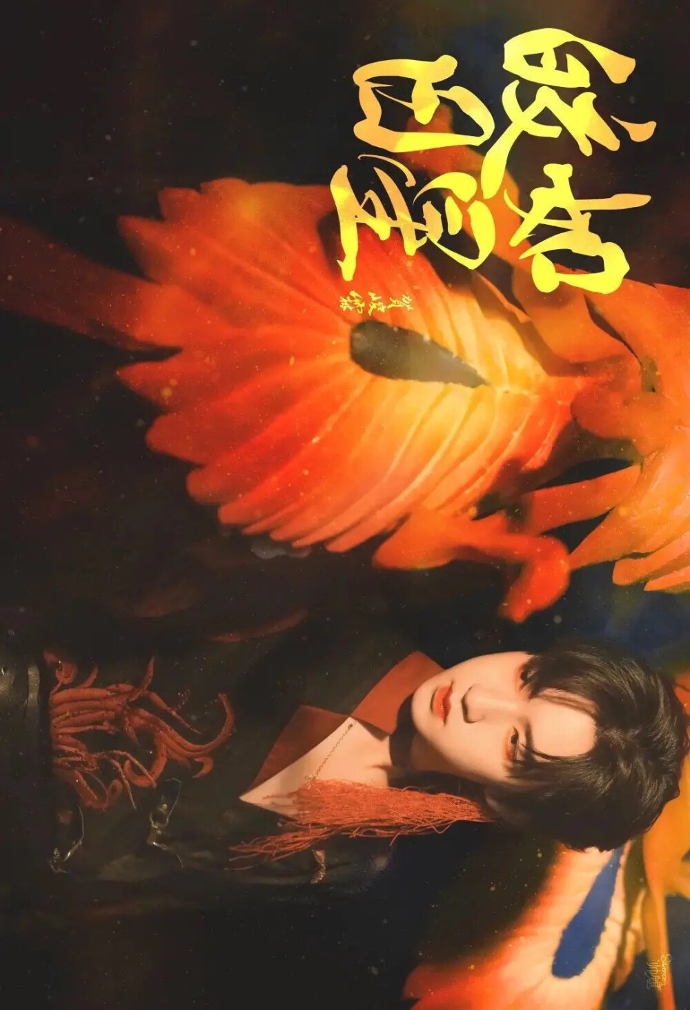 TNT时代少年团
朱雀