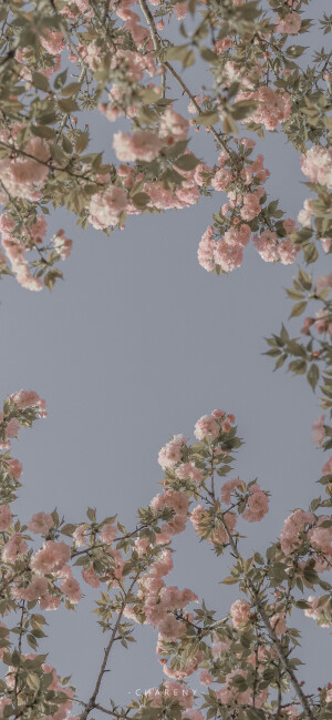 ᵀʰᵉ ˢᵒ-ᶜᵃˡˡᵉᵈ ˡⁱᶠᵉ , ʰᵃˡᶠ ˢᵘʳᵖʳⁱˢᵉ , ʰᵃˡᶠ ʳᵉᵍʳᵉᵗ.
所谓生活，一半惊喜，一半遗憾。