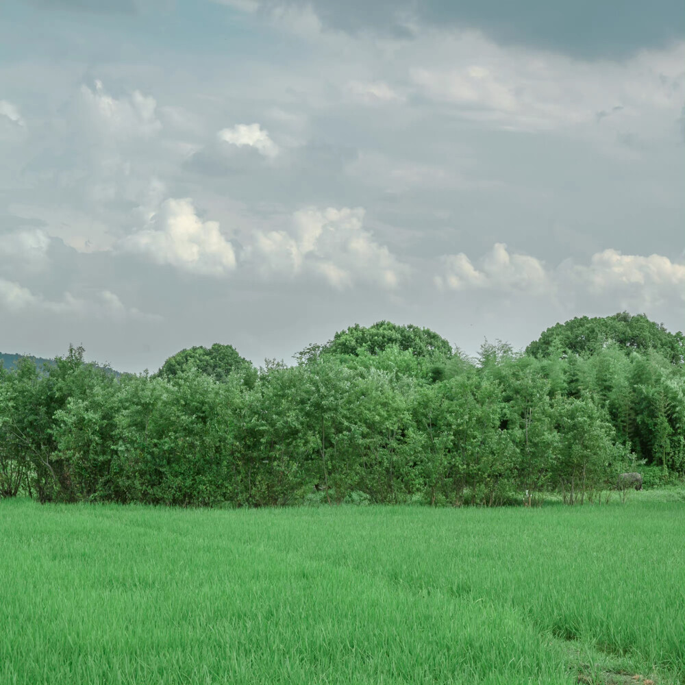 夏天要来啦
—背景图