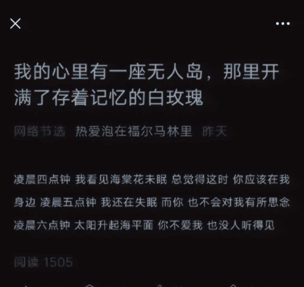 人人都爱盛开的玫瑰