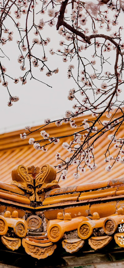 春日不迟 相逢会有时