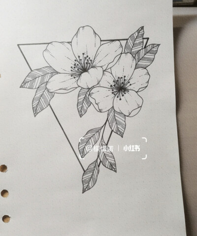 黑白画