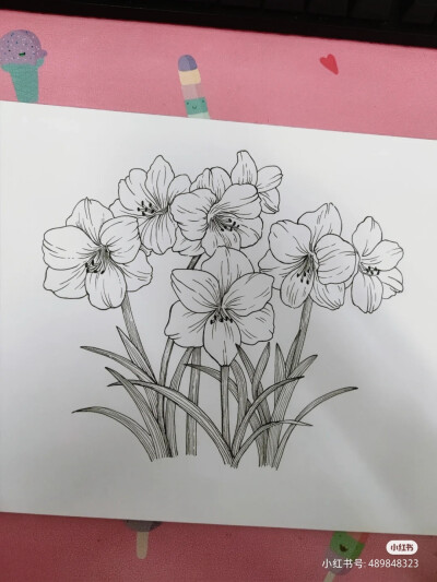 黑白画