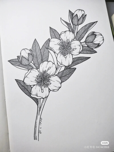 黑白画