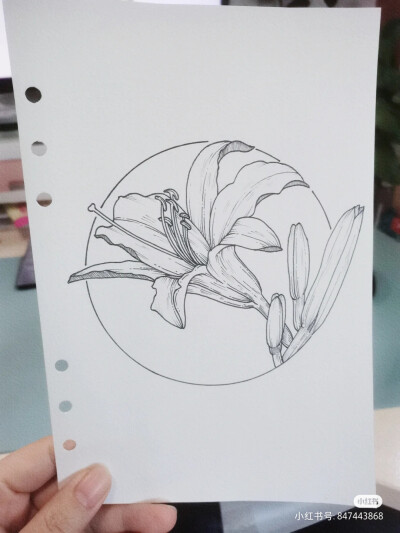 黑白画