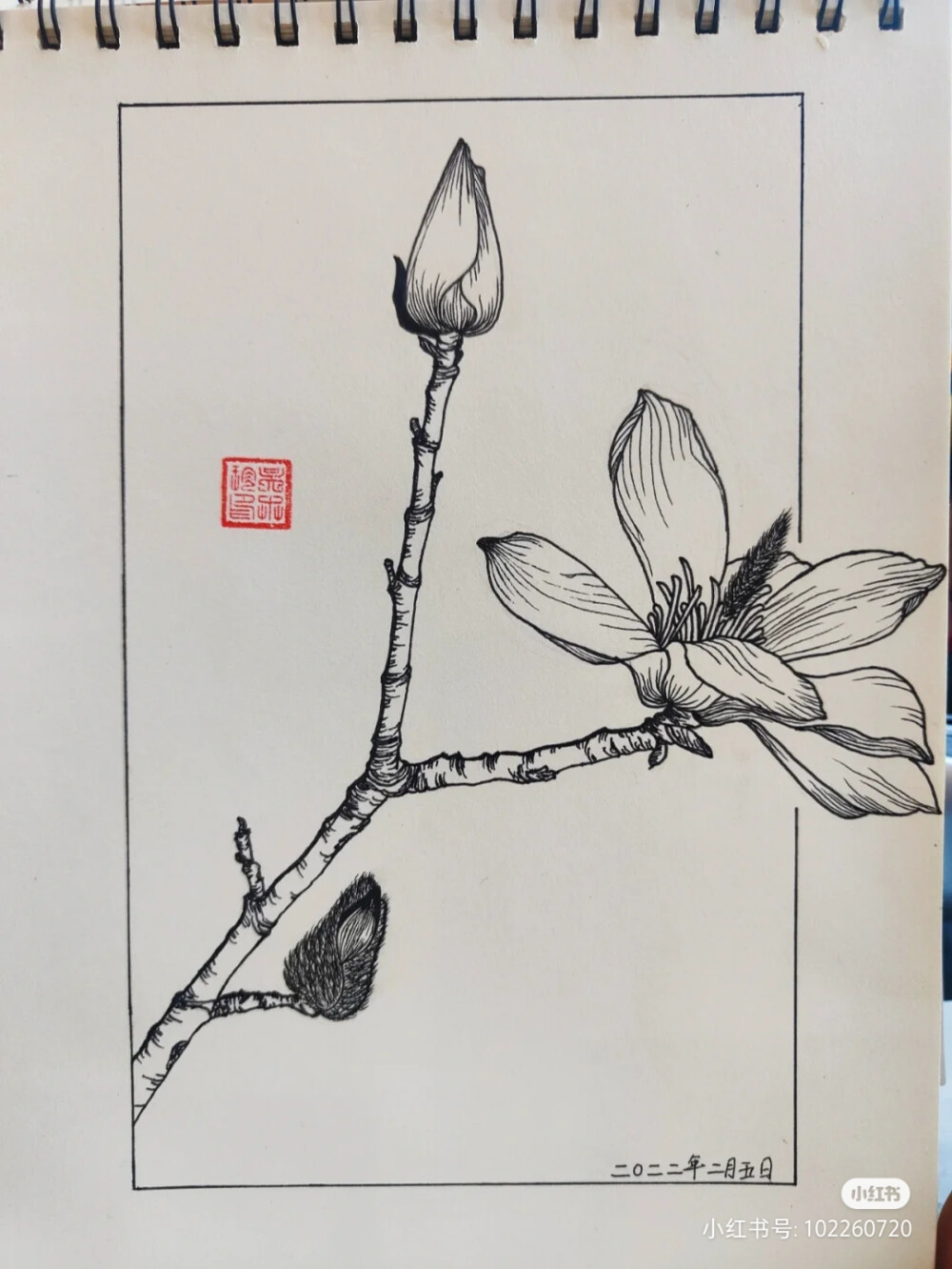 黑白画