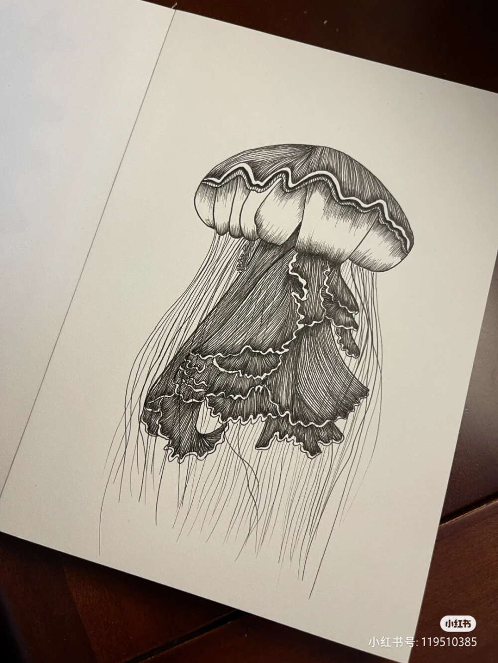 黑白画