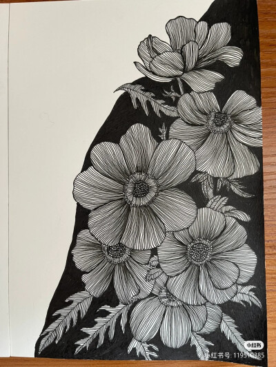 黑白画