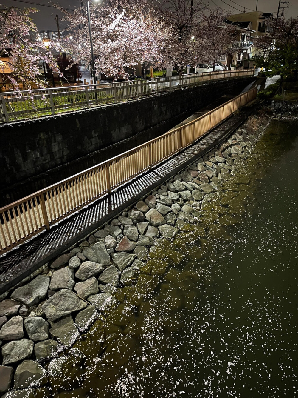 只有日本_新川千本桜