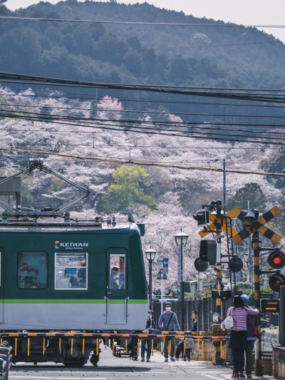 只有日本