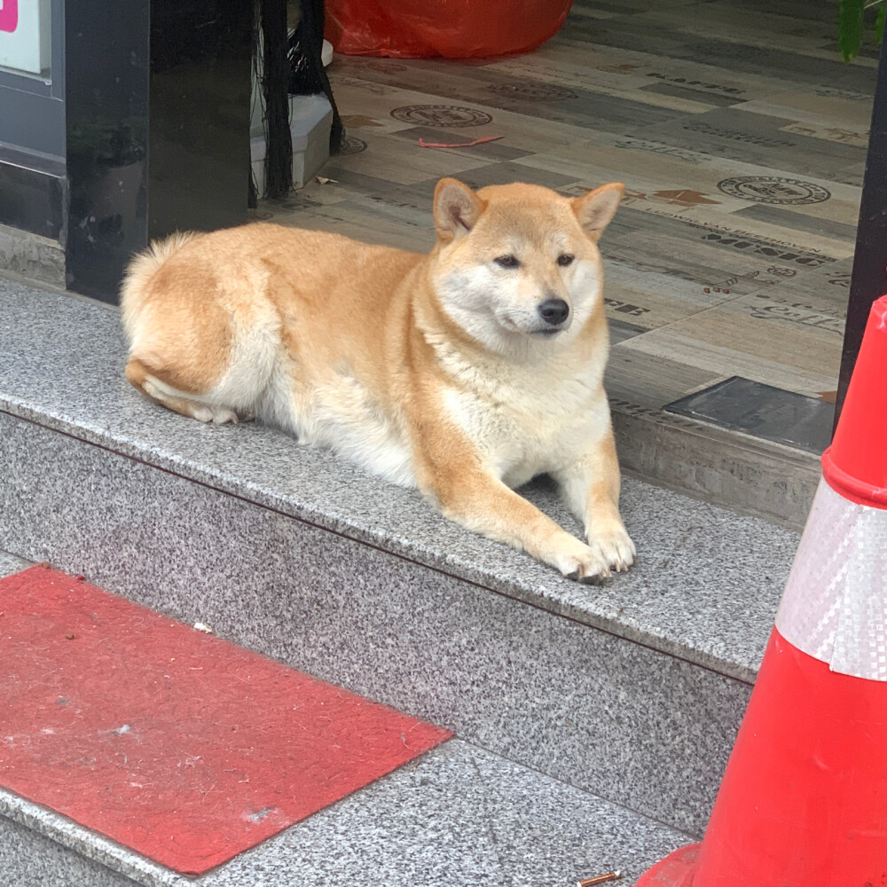 也许你感觉自己与周遭格格不入，但正是那些你一个人度过的时光，让你变得越来越有意思，等有天别人注意到你的时候，他们就会发现一个比他们想象中更酷的人。 我从来不指望吸引别人，我觉得这样很浅薄，我得吸引我自己，让我对自己有了热爱，才能完成一个孤单而又漫长的日子
———余秀华