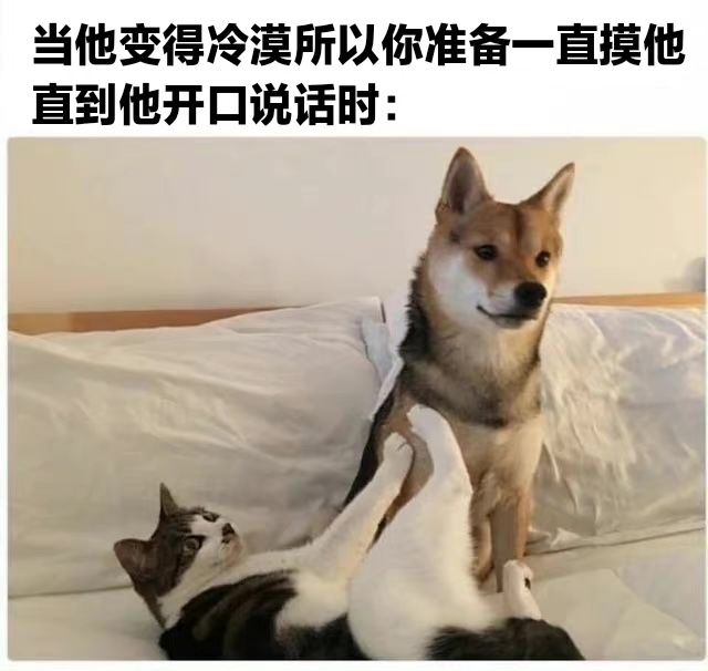 恋爱