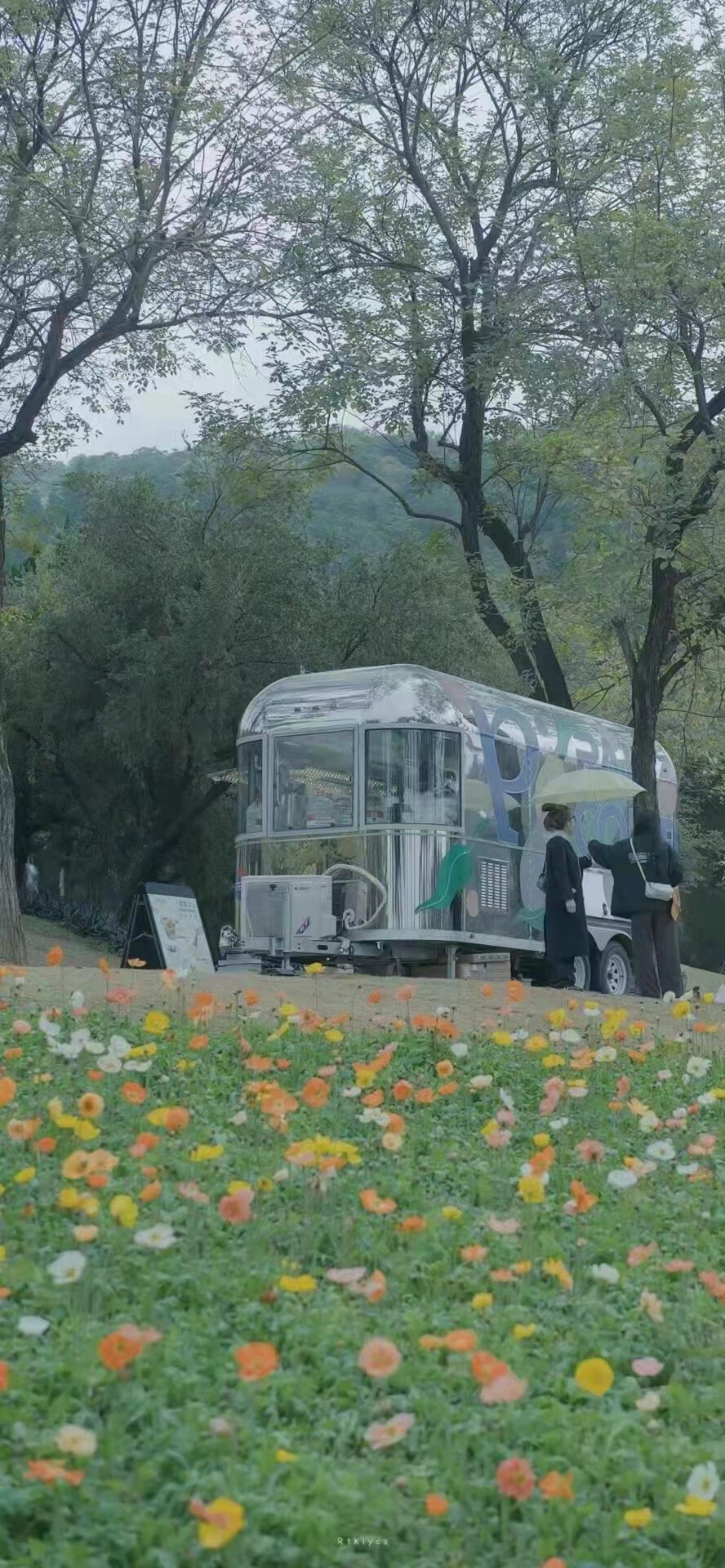 希望大家天天开心