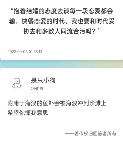 附庸于海浪的鱼虾会被海浪冲到沙滩上#冷瞳