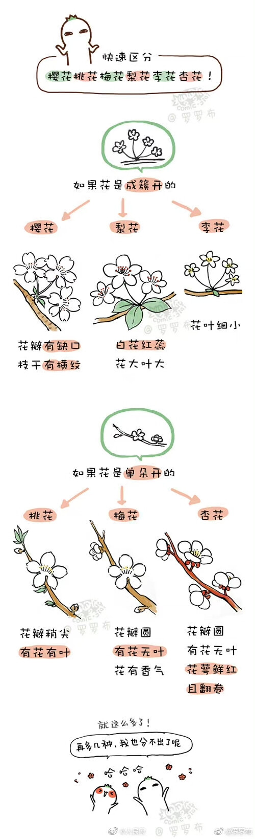 科普