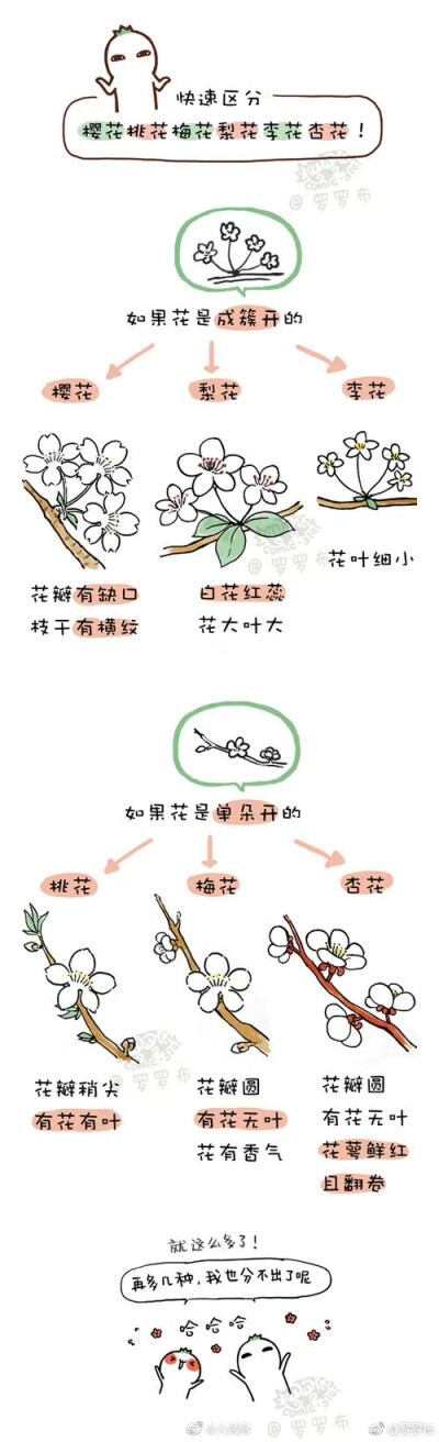 科普