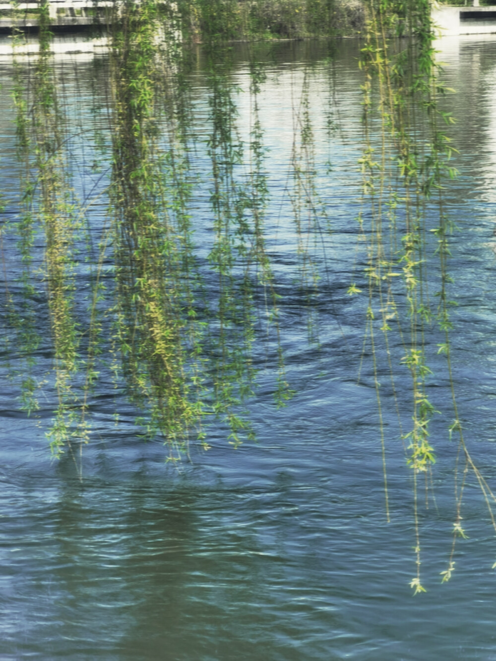 真诚才是必杀技_