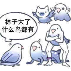 表情包