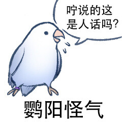 表情包