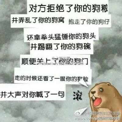 狗粮专卖