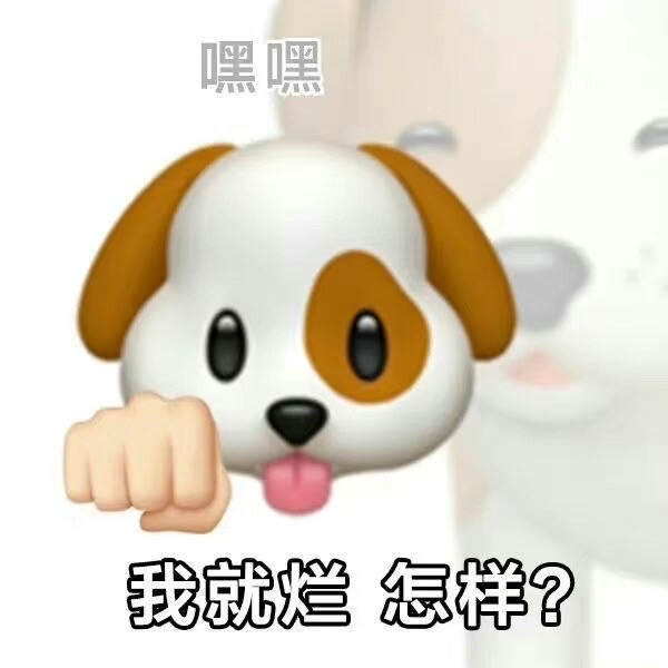 行立个flag 这个号修正常图 配正经文案。