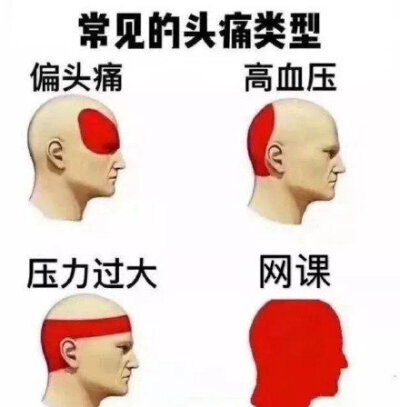 网课表情包