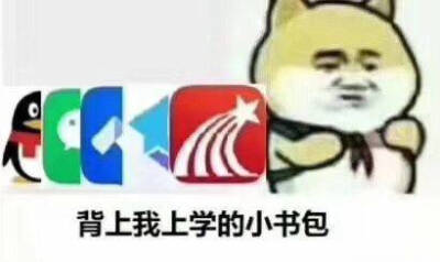 网课表情包