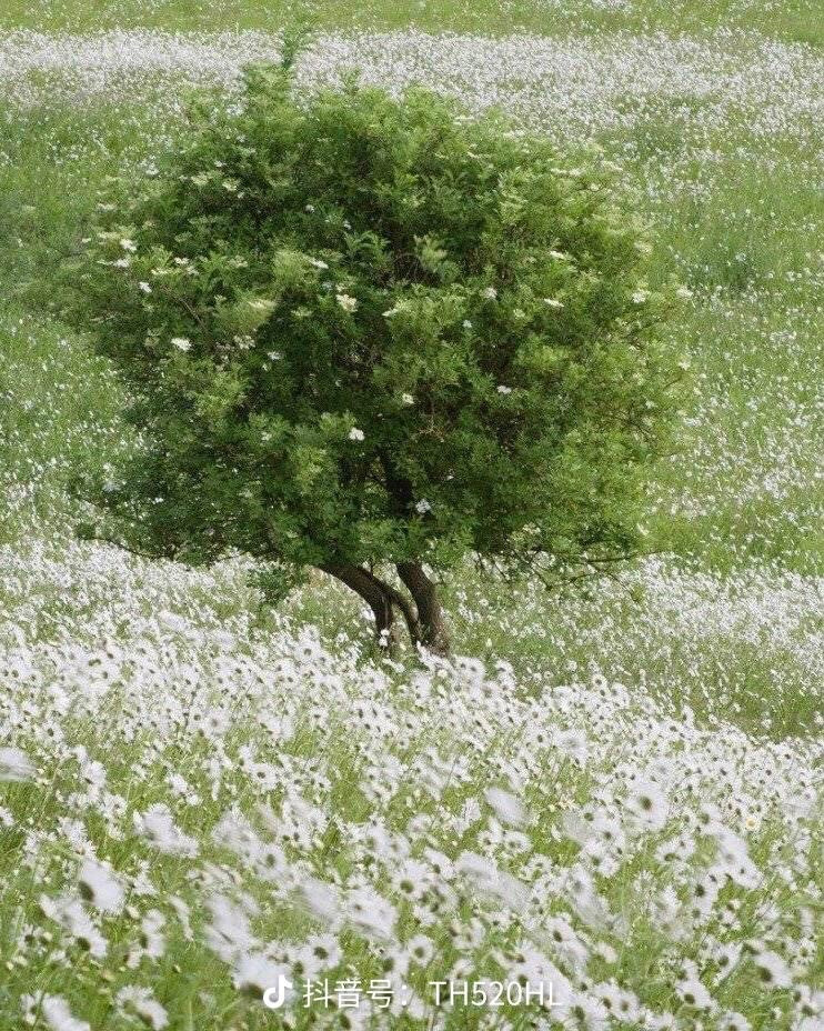 油画素材