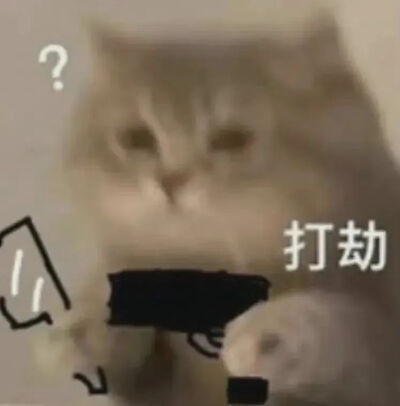 猫咪表情包