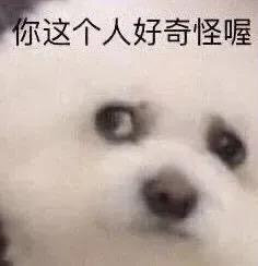 表情包头像