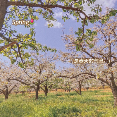 我生来即顽石而非向阳花木，浑身泥土未曾幸得春天照顾。自持棱角与世界格格不入，也仍祈望魂梦能有归处。于是就算所行事十有九输，我也偏做那横冲直撞过河卒。遇水搭桥，逢山开路，
能前一步便算作一步。
倘若行至穷…