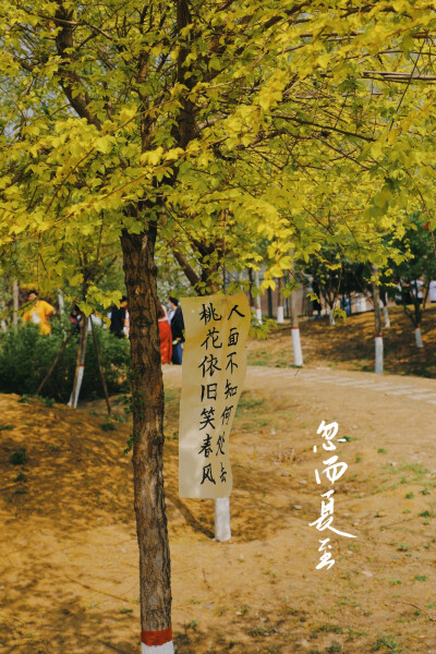 我生来即顽石而非向阳花木，浑身泥土未曾幸得春天照顾。自持棱角与世界格格不入，也仍祈望魂梦能有归处。于是就算所行事十有九输，我也偏做那横冲直撞过河卒。遇水搭桥，逢山开路，
能前一步便算作一步。
倘若行至穷…