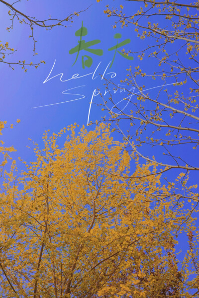 我生来即顽石而非向阳花木，浑身泥土未曾幸得春天照顾。自持棱角与世界格格不入，也仍祈望魂梦能有归处。于是就算所行事十有九输，我也偏做那横冲直撞过河卒。遇水搭桥，逢山开路，
能前一步便算作一步。
倘若行至穷…