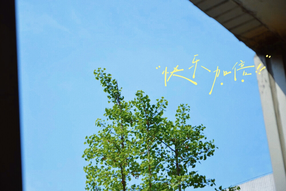 我生来即顽石而非向阳花木，浑身泥土未曾幸得春天照顾。自持棱角与世界格格不入，也仍祈望魂梦能有归处。于是就算所行事十有九输，我也偏做那横冲直撞过河卒。遇水搭桥，逢山开路，
能前一步便算作一步。
倘若行至穷途，却终无日出，
就烧尽此生傲骨，绝不认输。