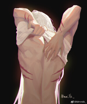 杀生丸  画师：@Mmmilk_ 