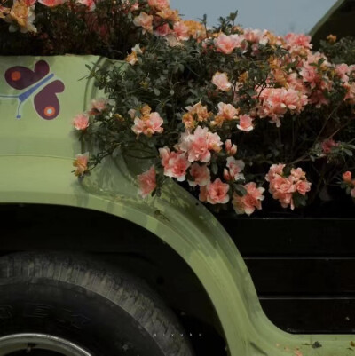 背景图‖月亮会寄给你全宇宙的爱