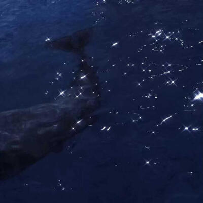 背景图‖月亮会寄给你全宇宙的爱