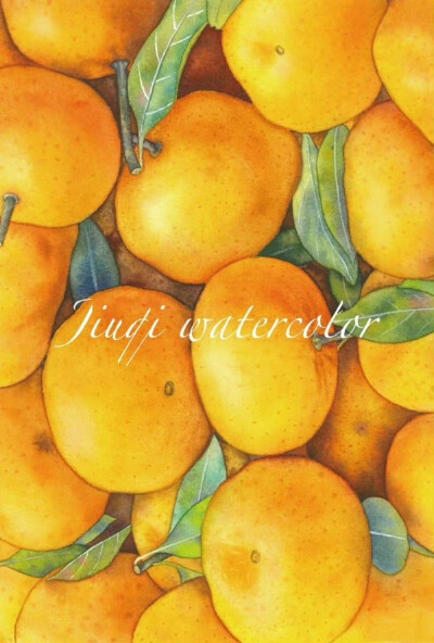 水果绘，微博：@玖七水彩 ​​​