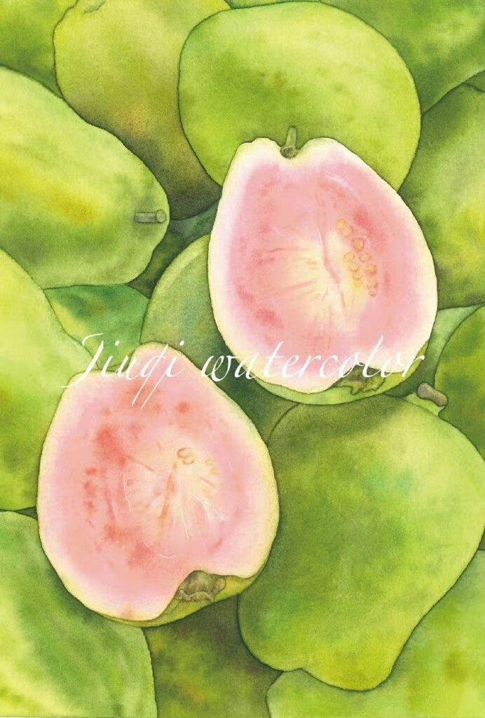 水果绘，微博：@玖七水彩 ​​​