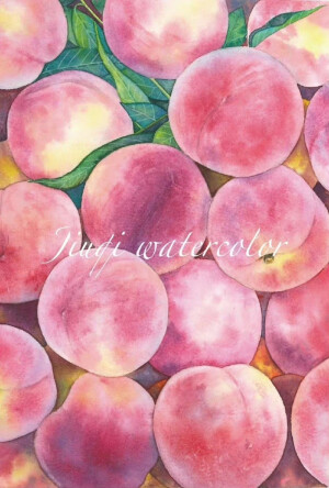 水果绘，微博：@玖七水彩 ​​​