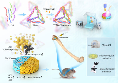 医学动画论文配图杂志sci封面设计科研绘图教程三维动画
sci绘图论文配图3d科研绘图学术期刊封面设计医学插画
科研绘图邦图文化论文配图杂志封面设计医学插画
邦图文化科研绘图SCI画图学术杂志封面设计TOC示意图
…