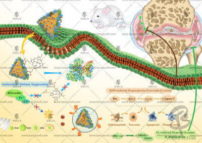 杂志封面设计科研作图SCI画图TOC示意图学术文章配图
论文配图杂志封面设计科研绘图sci医学插画三维动画综述图
科研作图杂志封面论文配图sci医学插画设计三维动画
sci论文配图学术期刊封面设计科研绘图医学插画
…